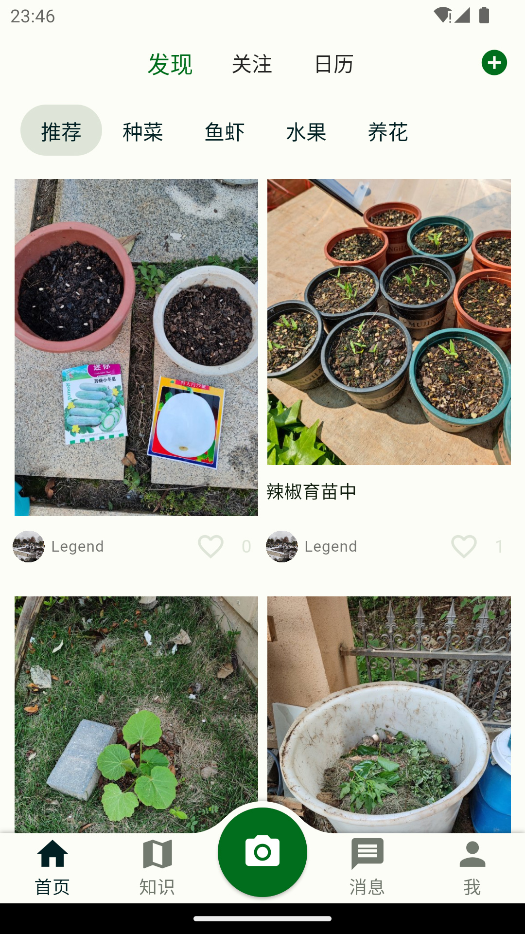 鱼菜记 鱼菜记截图