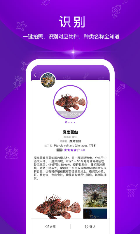 问鱼 问鱼电脑版截图