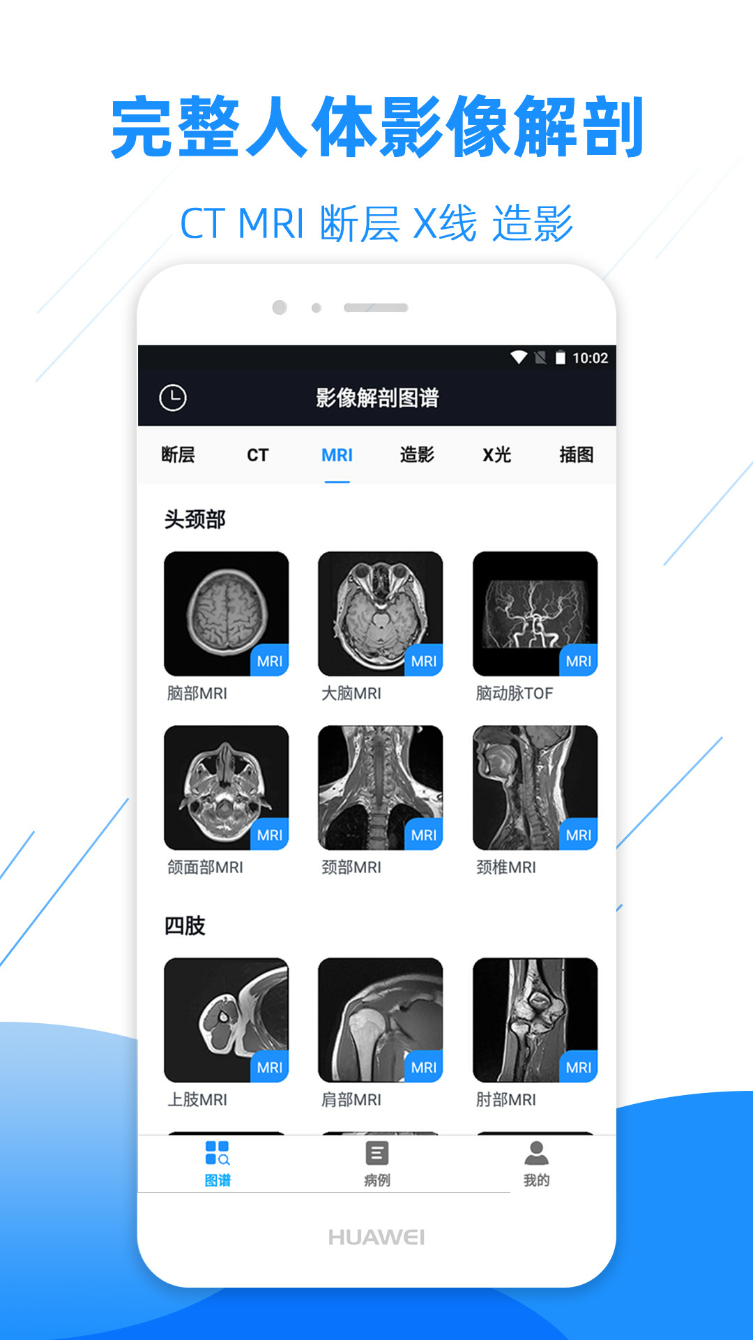 影像解剖图谱截图