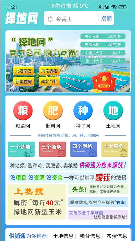 择地网 择地网截图