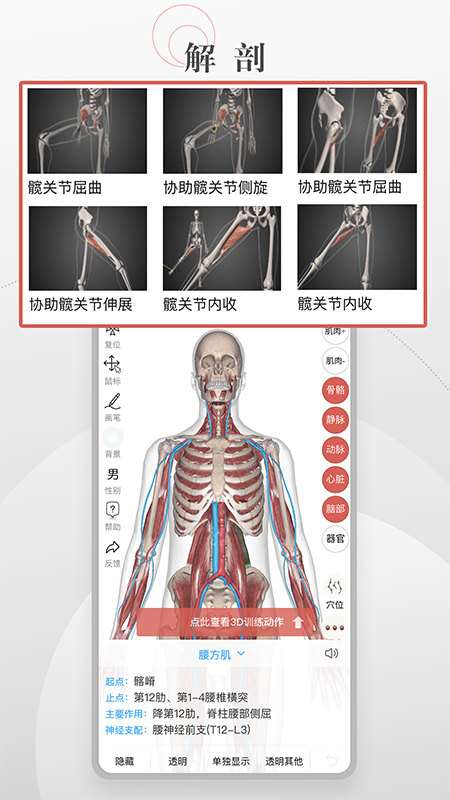 第三人体 第三人体截图