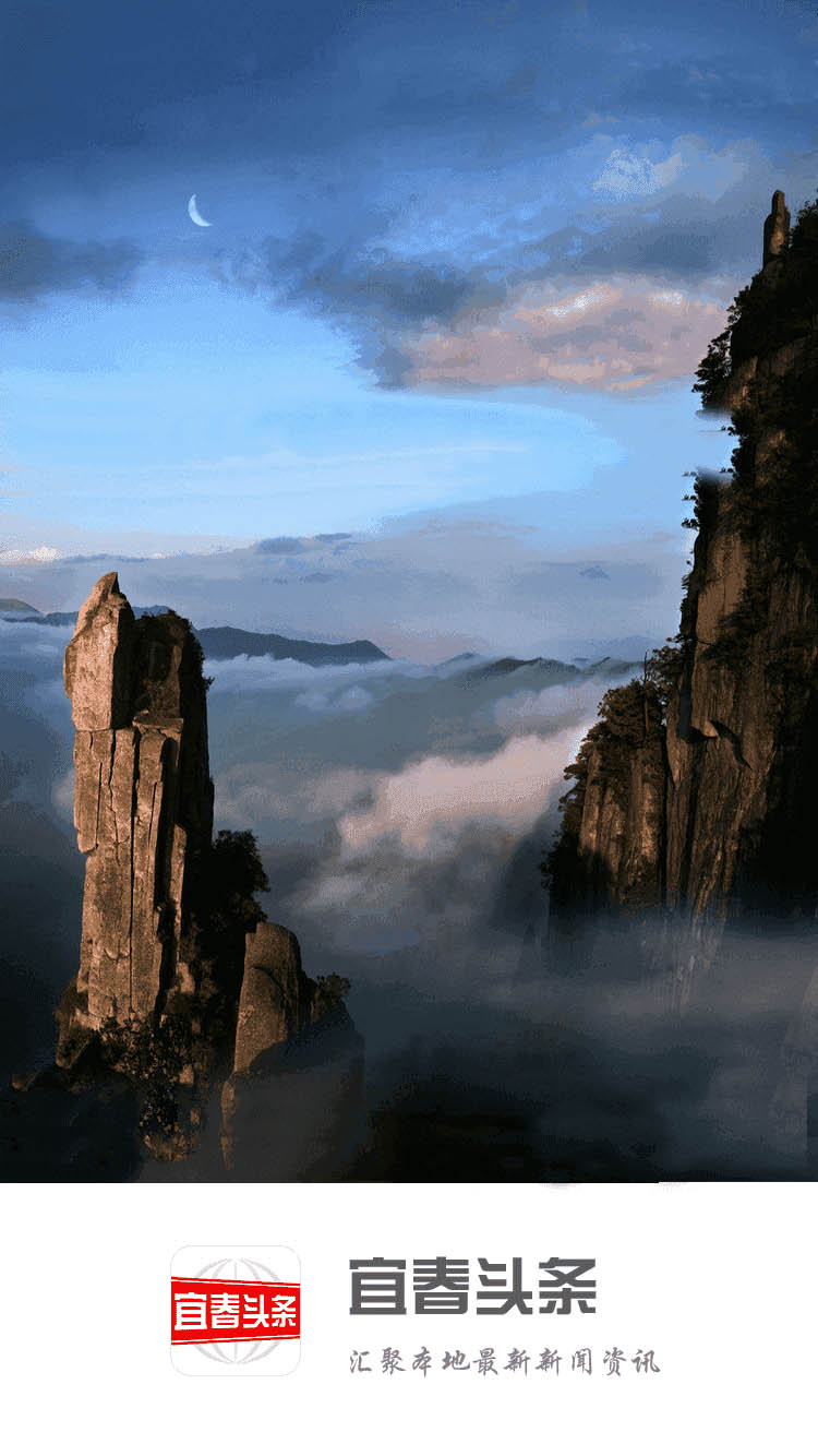 宜春头条 宜春头条截图