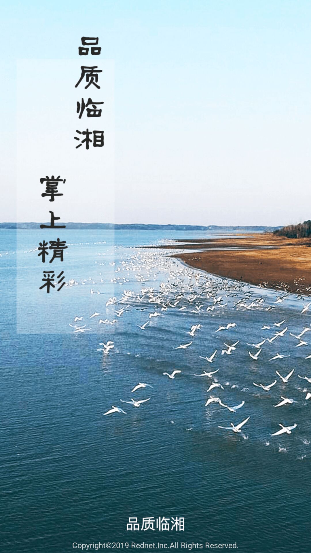 品质临湘 品质临湘截图
