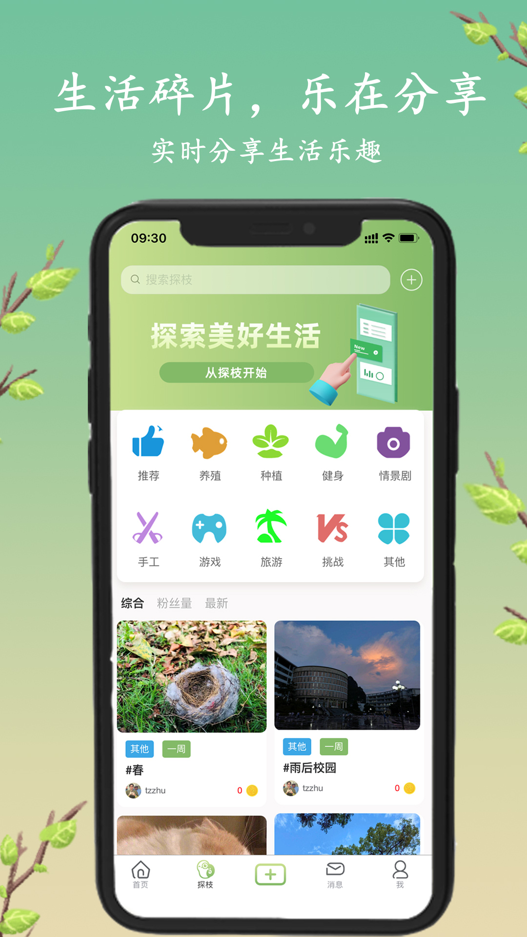 探枝 探枝截图
