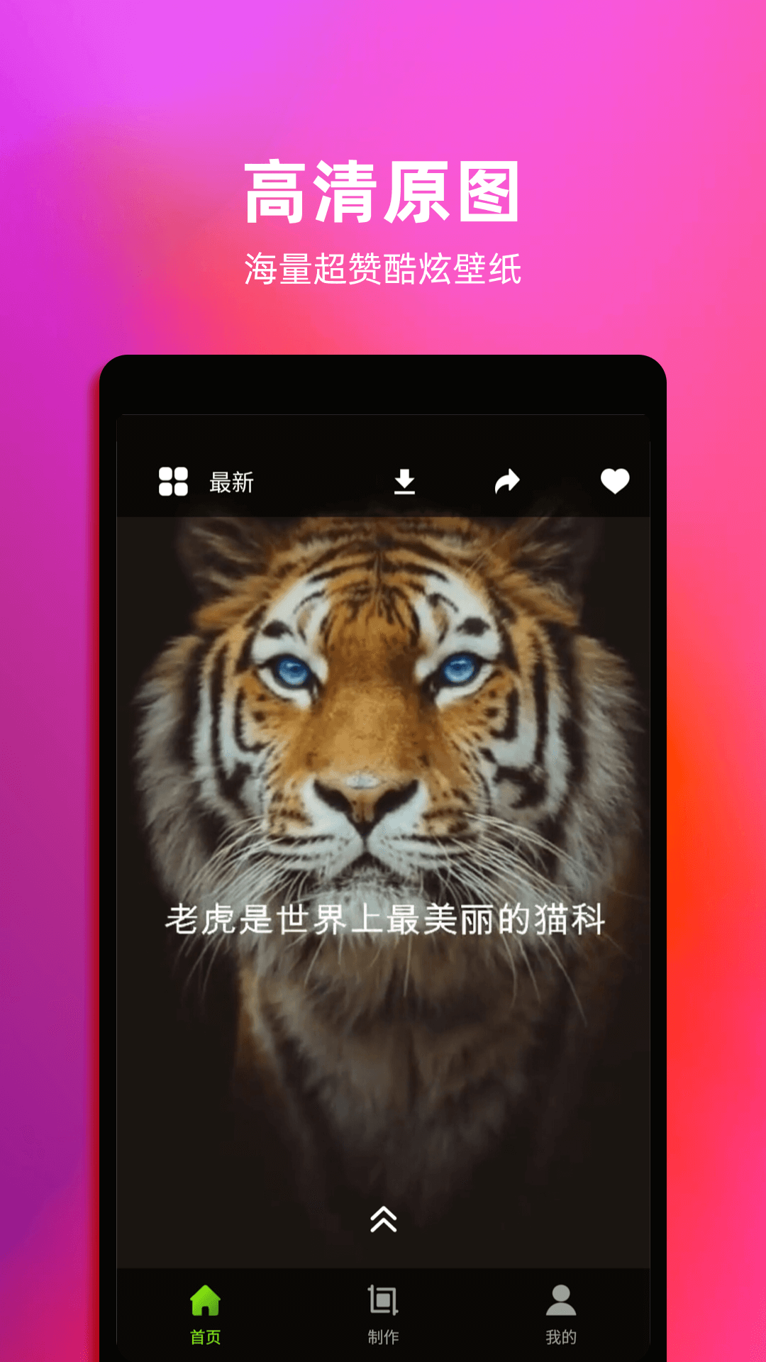 4k动态壁纸 4k动态壁纸截图