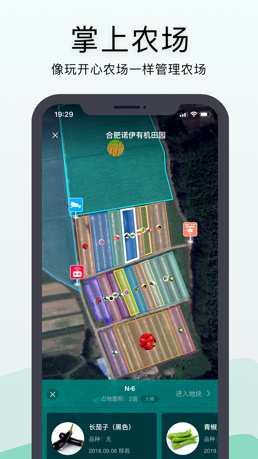 神农口袋 神农口袋截图
