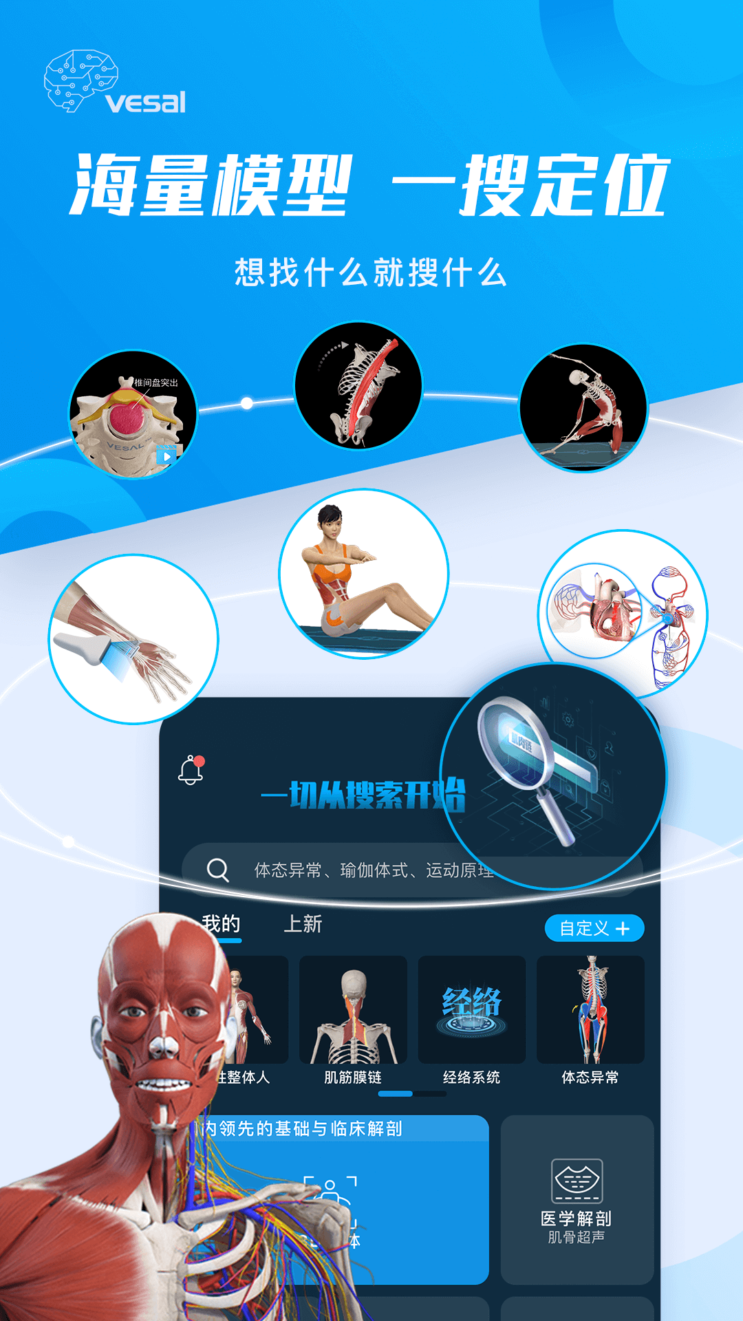 解剖大师 解剖大师截图
