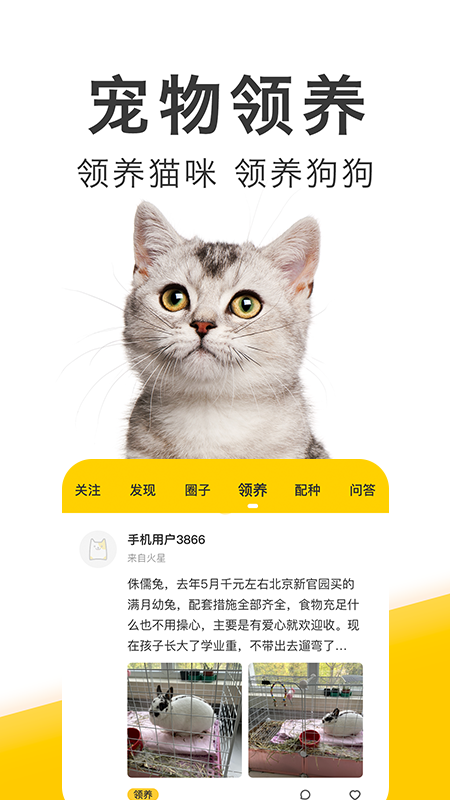 有只宠物 有只宠物截图