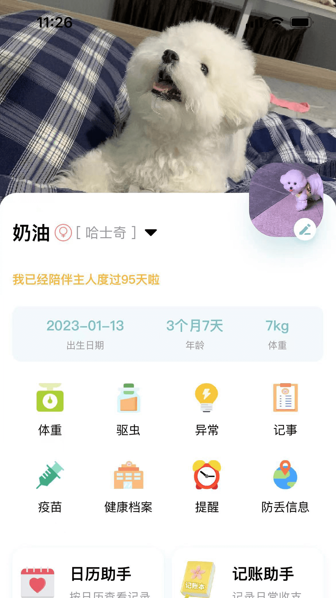 述宠截图