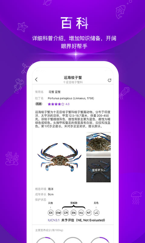 问鱼 问鱼电脑版截图