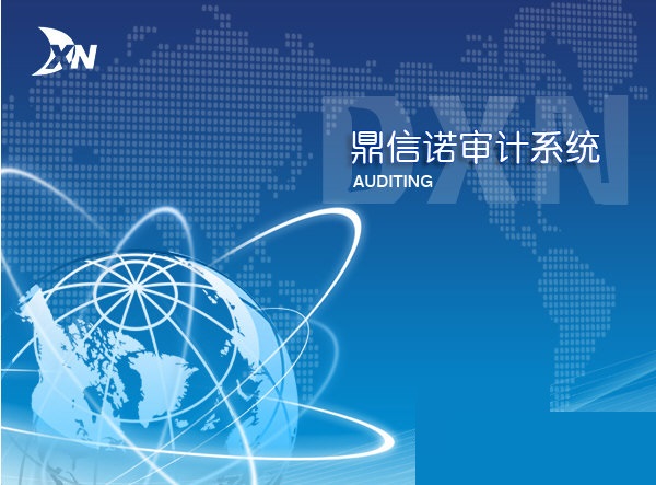 鼎信诺审计软件6110截图