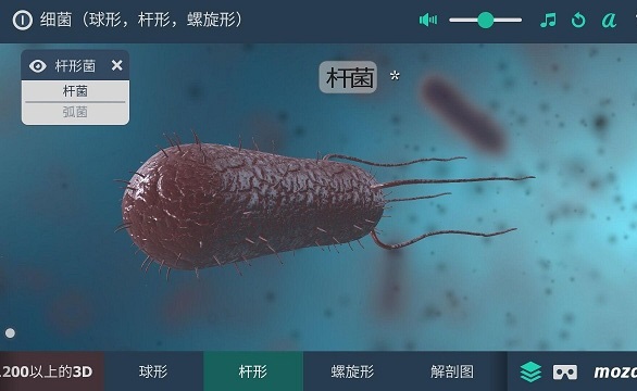 多样细菌立体分析电脑版截图