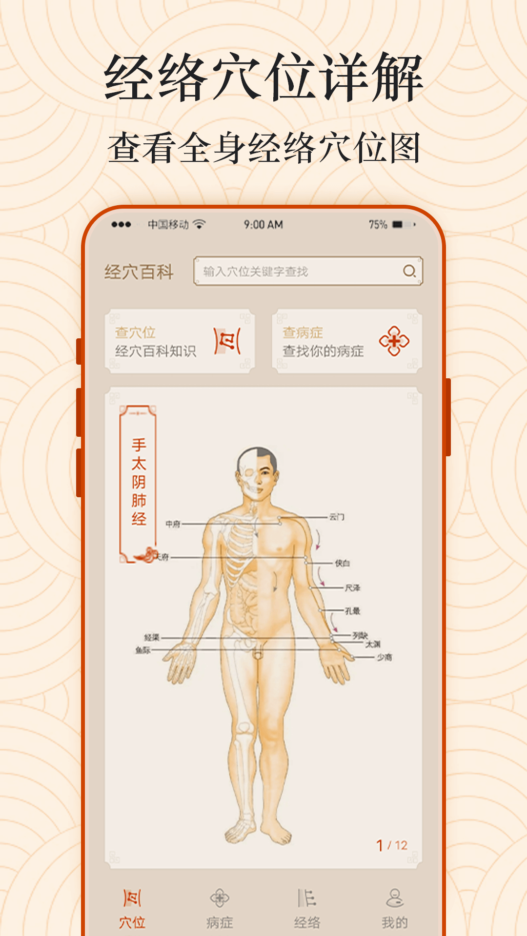 经络穴位图 经络穴位图截图