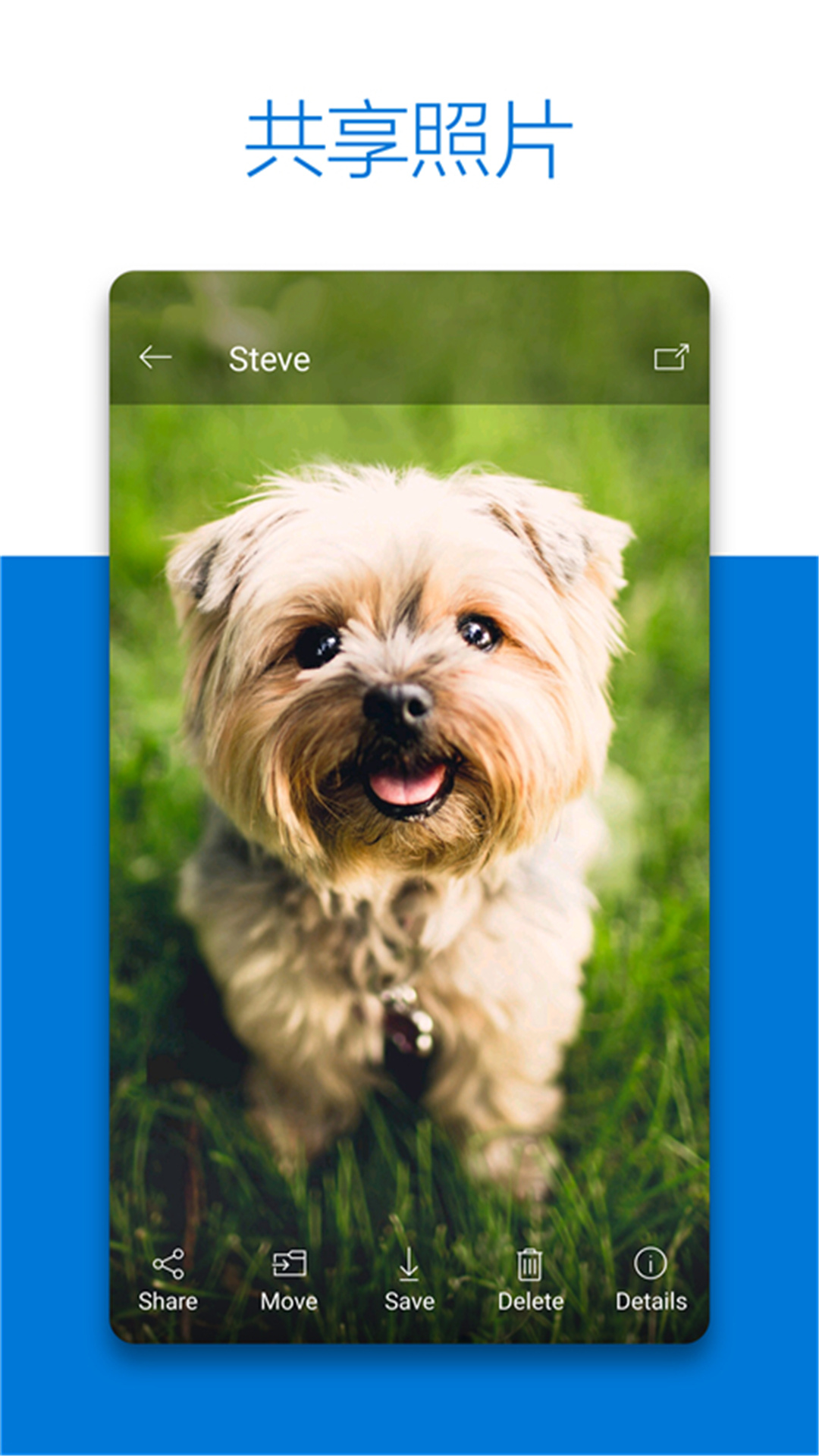 SkyDrive官方版 SkyDrive官方版截图