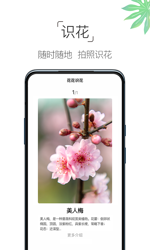 养花大全 养花大全截图