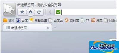 猎豹浏览器