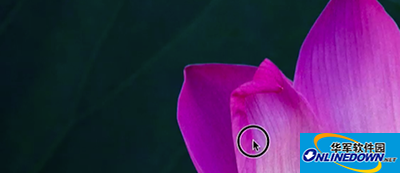 Quicktime player转换格式