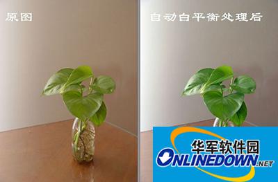 光影魔术手之白平衡校正介绍