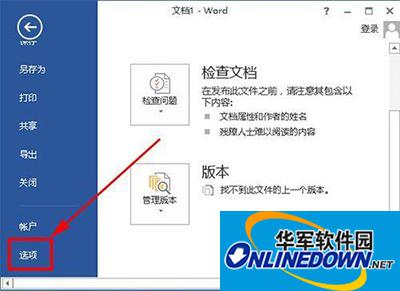 office2013