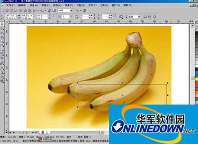 cdr是什么文件?