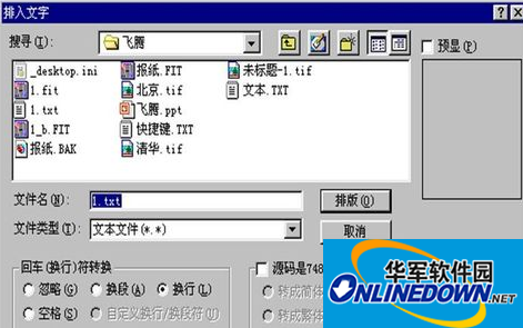 排入文字