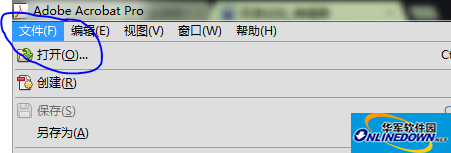 11761193125.jpg