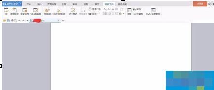 wps文字怎样开启开发工具