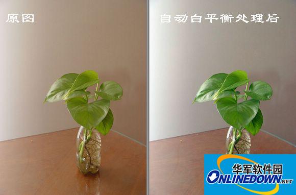 自动白平衡