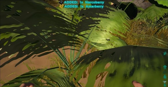 D3A28FCF.jpg