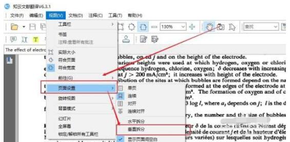 知云文献翻译如何两窗口显示文献?知云文献翻译两窗口显示文献的方法截图