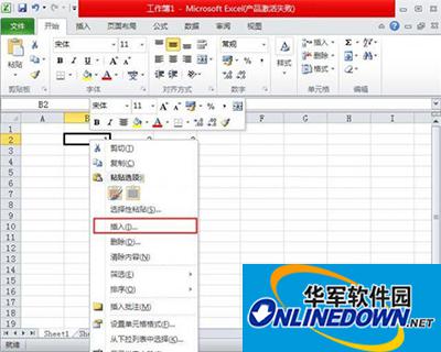 excel2010