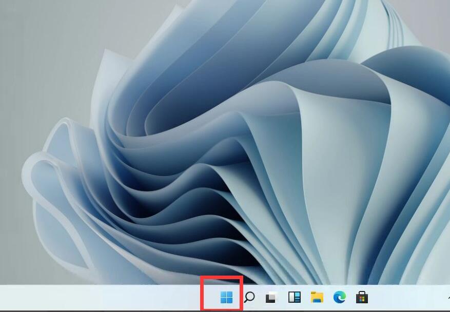 windows11