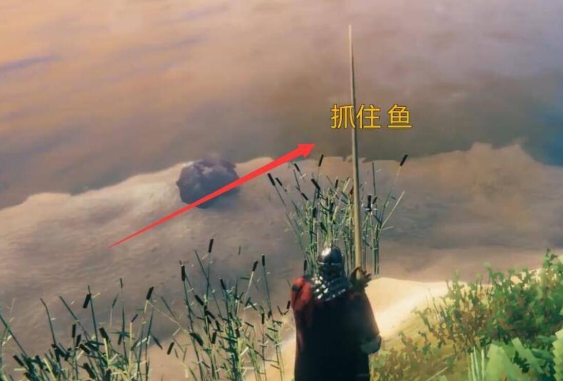 英灵神殿怎么抓鱼