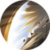 3.gif