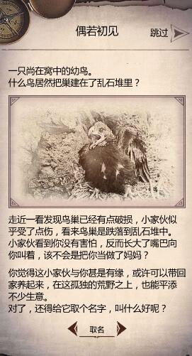 荒野求生手游金雕