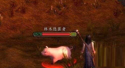 魔兽世界怀旧服变猪术怎么学_魔兽世界怀旧服变猪术获得攻略