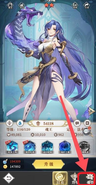 斗罗大陆：武魂觉醒如何穿戴魂骨