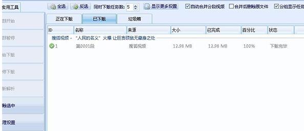 硕鼠FLV视频下载器截图
