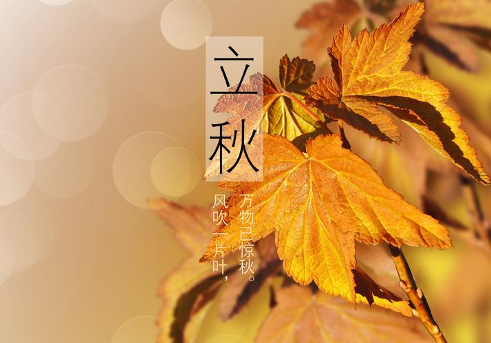 立秋吃什么