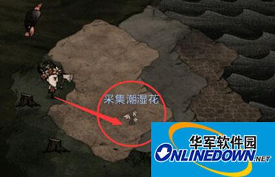 饥荒手机版