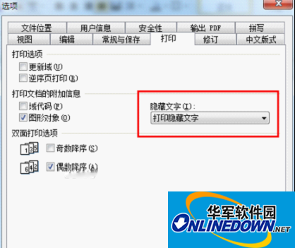 打印隐藏文字