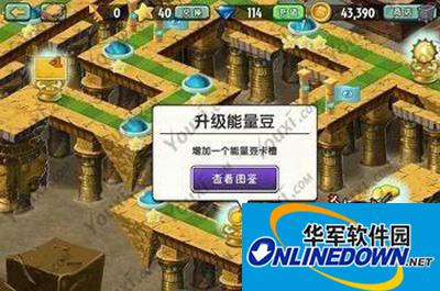 升级能量豆