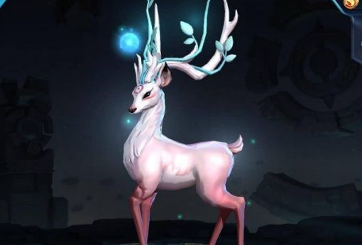 2.png