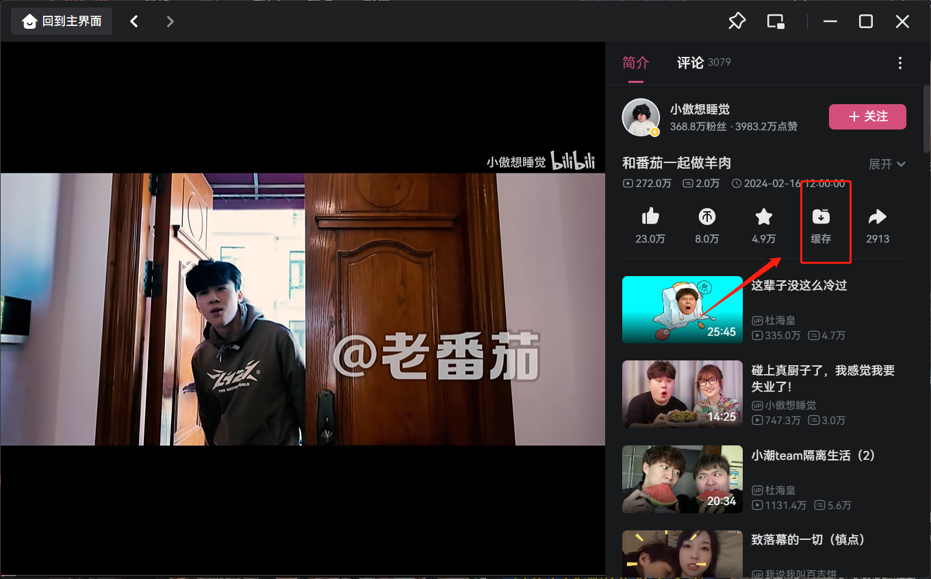 哔哩哔哩下载