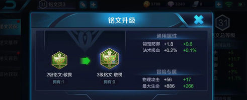 5.png