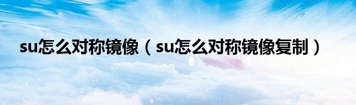 su怎么对称镜像（su怎么对称镜像复制）-第1张图片-腾赚网