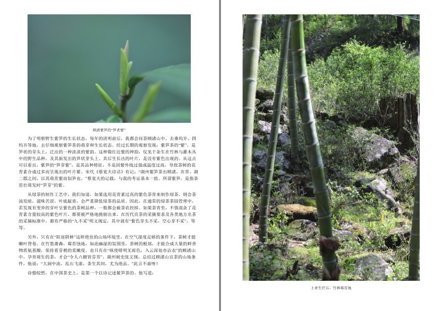 QQ截图20220919120318.png