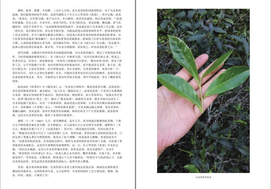 QQ截图20220919120408.png