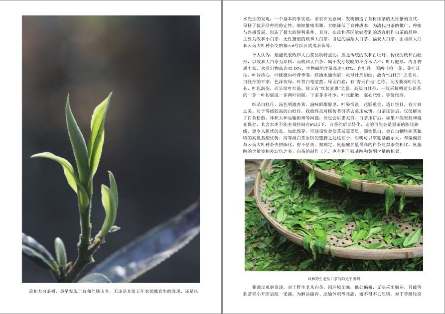 QQ截图20220919120356.png