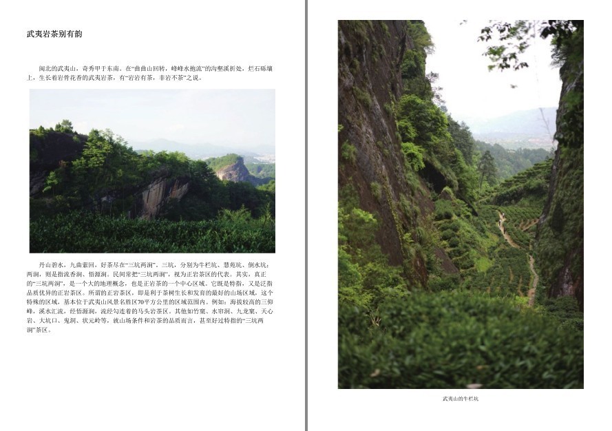 QQ截图20220919120418.png